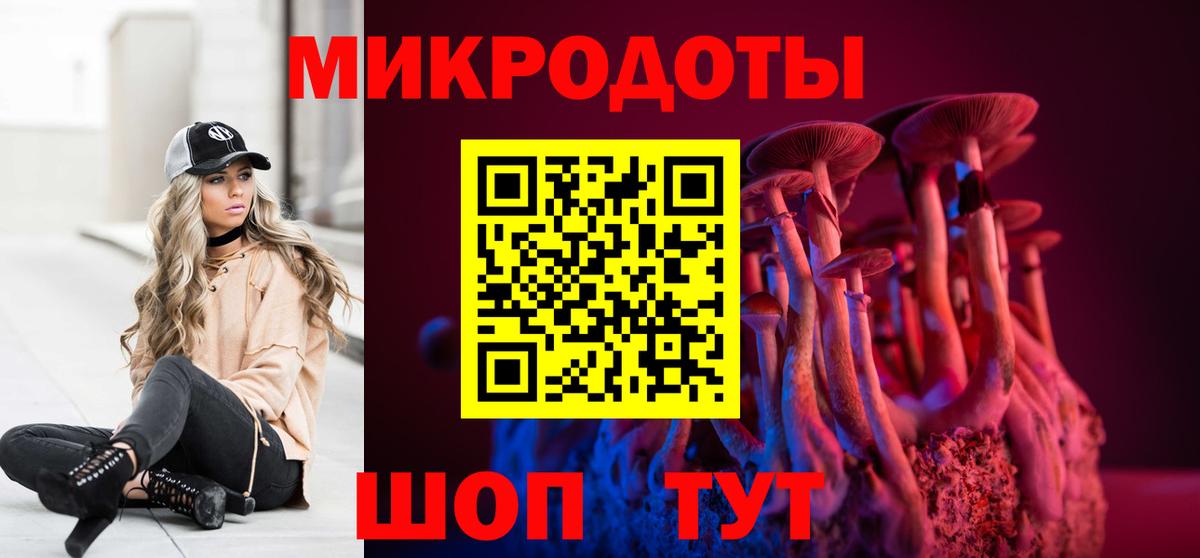 Галлюциногенные грибы Psilocybe Кохма