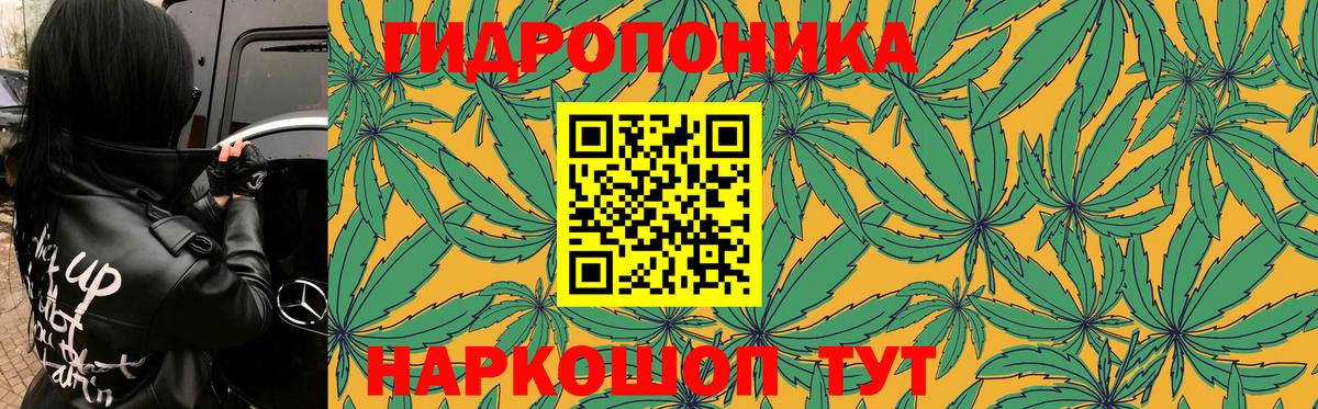 Бошки марихуана гибрид Кохма